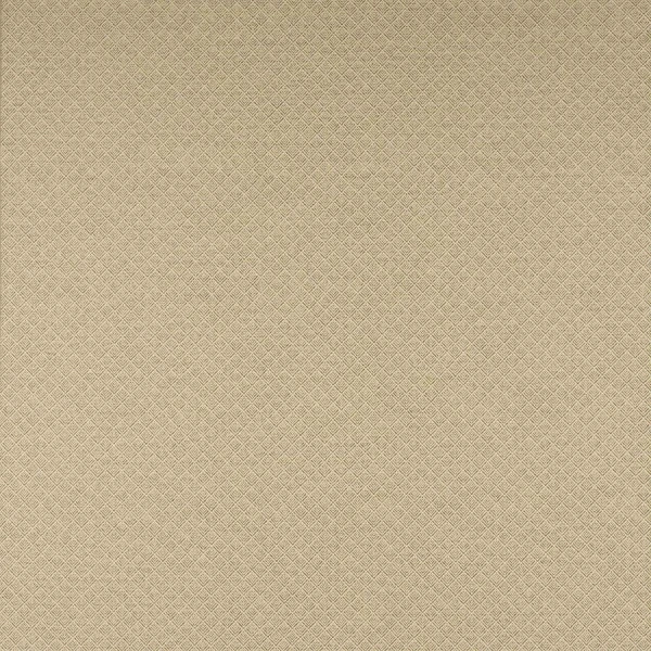 Tkanina Clancey by Colefax and Fowler F4863