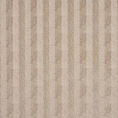Tkanina Clarence by Colefax and Fowler F4898