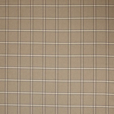 Tkanina Fen Plaid by Colefax and Fowler F4636