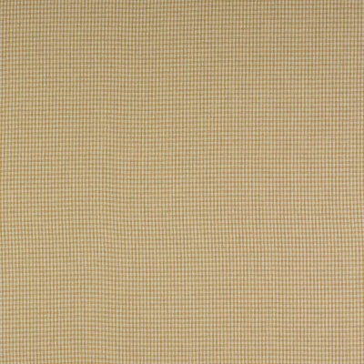 Tkanina Jay Check by Colefax and Fowler F4762
