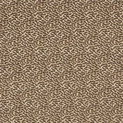 Tkanina Kemble by Colefax and Fowler F4787