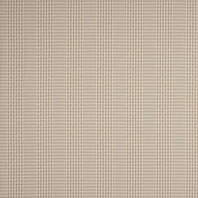 Tkanina Langham Check by Colefax and Fowler F4865