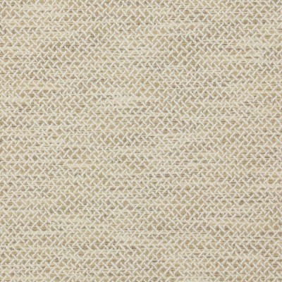 Tkanina Medway by Colefax and Fowler F4646