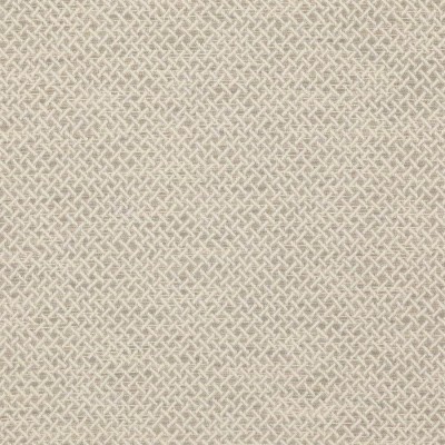 Tkanina Medway by Colefax and Fowler F4646