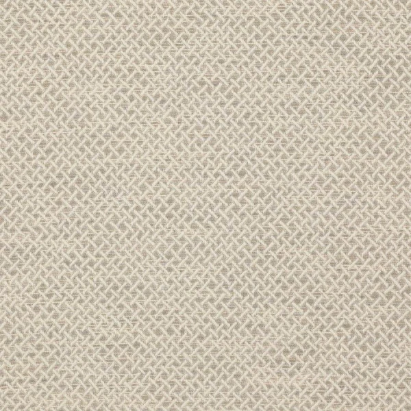 Tkanina Medway by Colefax and Fowler F4646