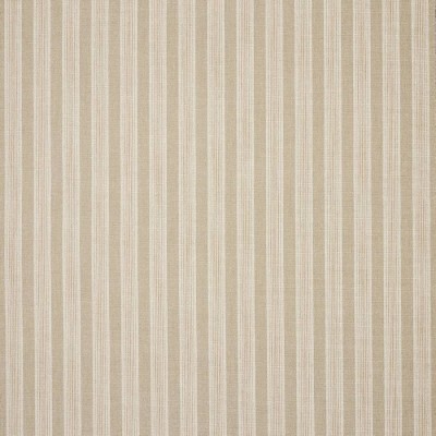 Tkanina Olney Stripe by Colefax and Fowler F4935