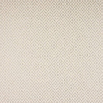 Tkanina Radnor by Colefax and Fowler F4874