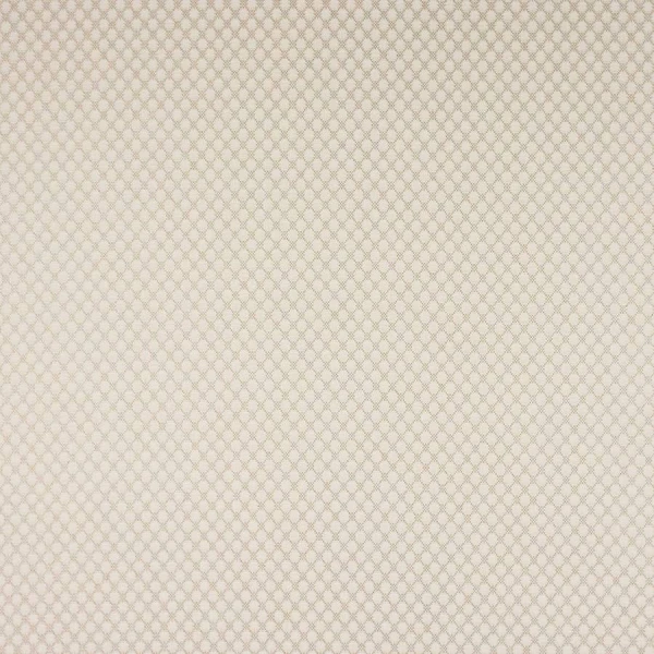 Tkanina Radnor by Colefax and Fowler F4874