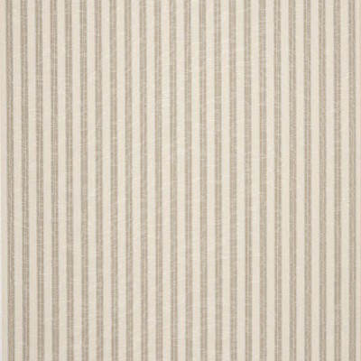 Tkanina Thurloe Stripe by Colefax and Fowler F4903