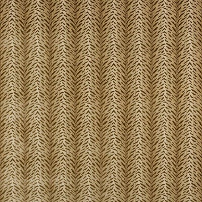 Tkanina Tigre by Colefax and Fowler F4861