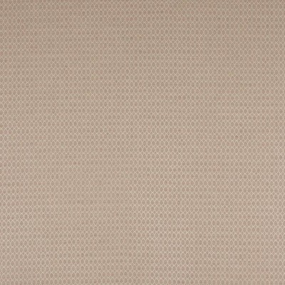 Tkanina Arlette by Colefax and Fowler F4769