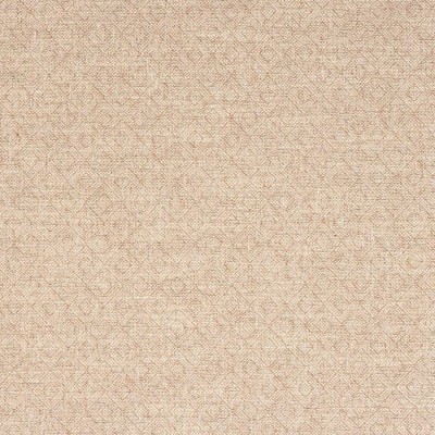 Tkanina Berenson by Colefax and Fowler F4885