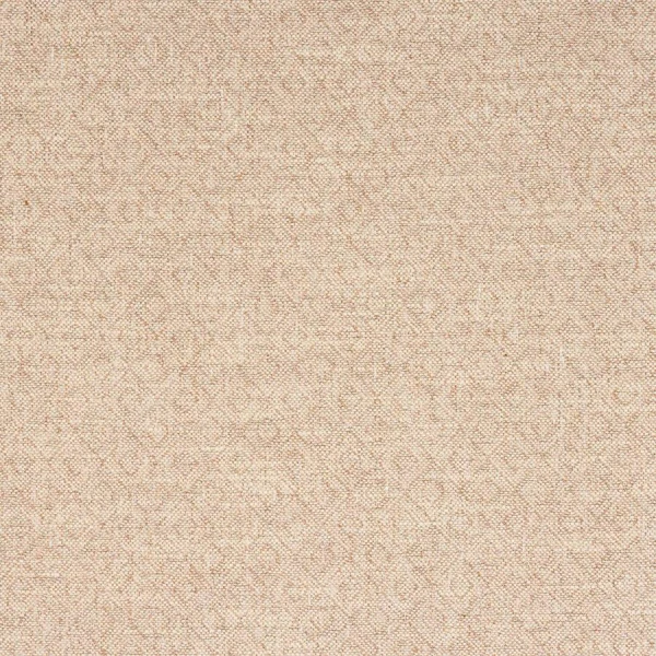 Tkanina Berenson by Colefax and Fowler F4885