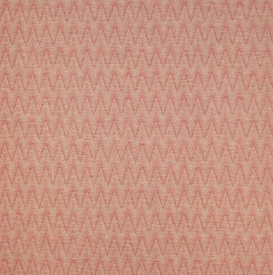 Tkanina Brett by Colefax and Fowler F4643
