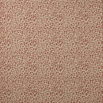 Tkanina Chester by Colefax and Fowler F4854