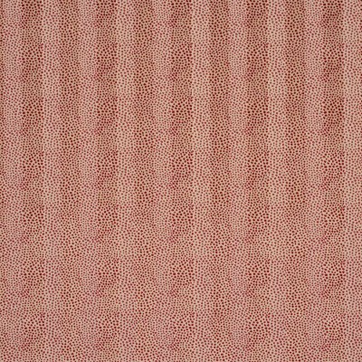 Tkanina Clarence by Colefax and Fowler F4898
