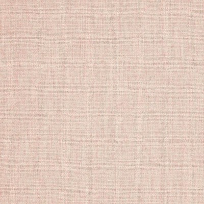 Tkanina Conway by Colefax and Fowler F4674