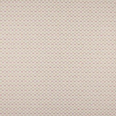 Tkanina Denbury by Colefax and Fowler F4875
