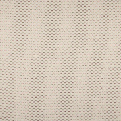 Tkanina Denbury by Colefax and Fowler F4875