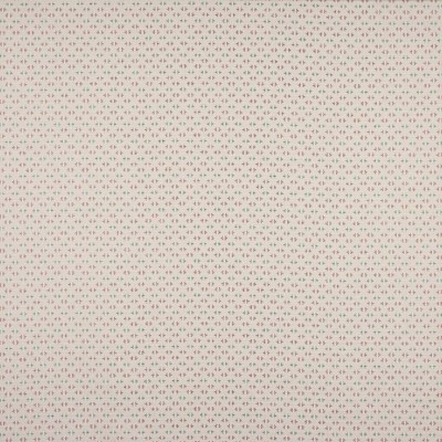 Tkanina Denbury by Colefax and Fowler F4875