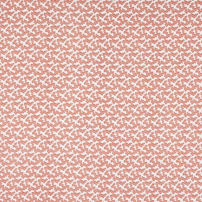 Tkanina Hayden by Colefax and Fowler F4867