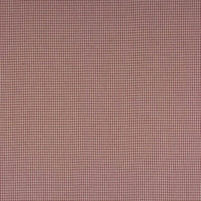 Tkanina Jay Check by Colefax and Fowler F4762