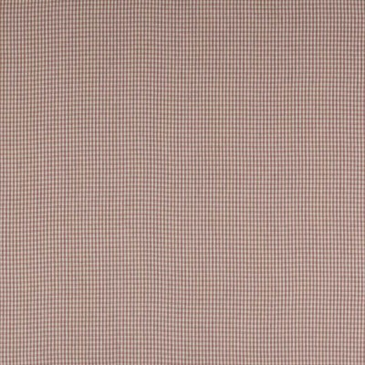 Tkanina Jay Check by Colefax and Fowler F4762
