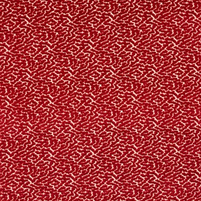 Tkanina Kemble by Colefax and Fowler F4787