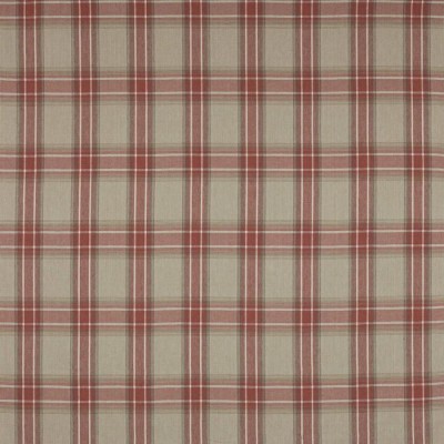 Tkanina Lamorna Check by Colefax and Fowler F4761
