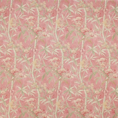 Tkanina Oleander by Colefax and Fowler F4707