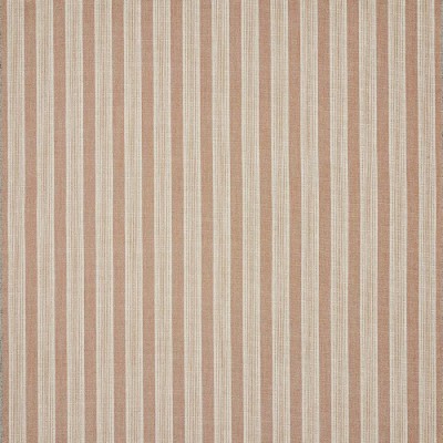 Tkanina Olney Stripe by Colefax and Fowler F4935