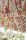 Tkanina Paisley Leaf by Colefax and Fowler F4691