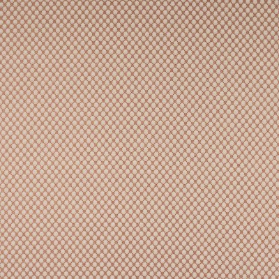 Tkanina Radnor by Colefax and Fowler F4874