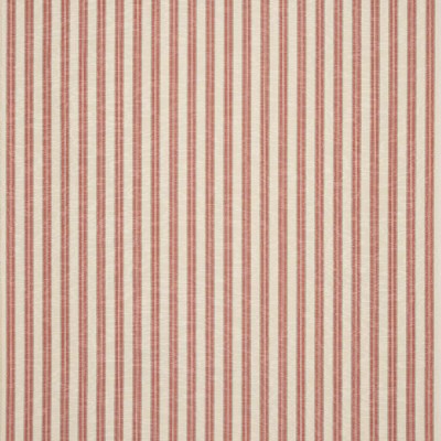 Tkanina Thurloe Stripe by Colefax and Fowler F4903