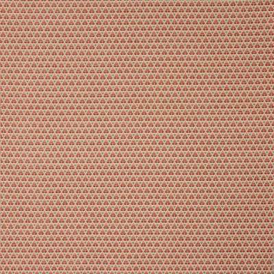 Tkanina Woodberry by Colefax and Fowler F4847