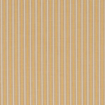 Tkanina Brooke Stripe by Colefax and Fowler F4826