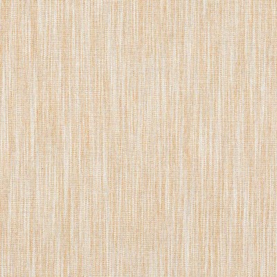 Tkanina Carnforth by Colefax and Fowler F4799