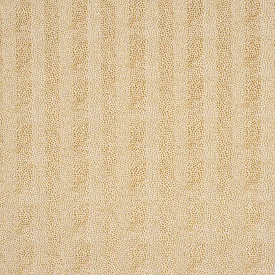 Tkanina Clarence by Colefax and Fowler F4898