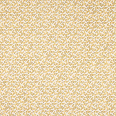 Tkanina Hayden by Colefax and Fowler F4867