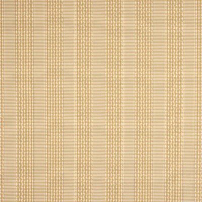 Tkanina Langham Check by Colefax and Fowler F4865