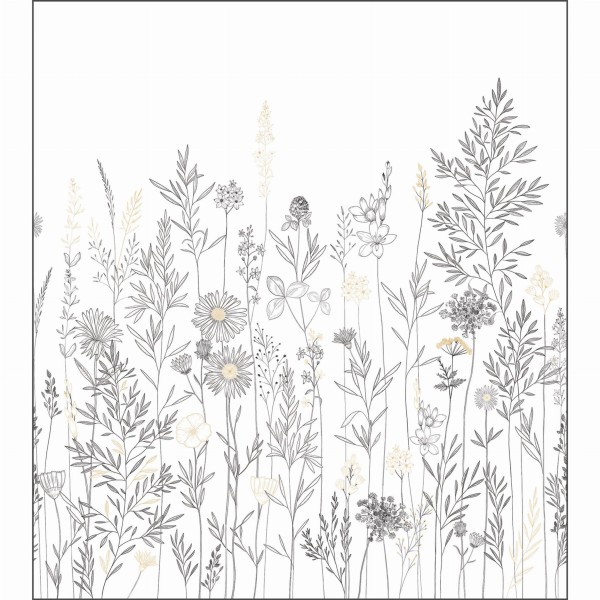 66aa447379ec56927a314dd97a403af4