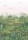 CASADECO_88207203.jpg