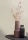 casamance_per.webp