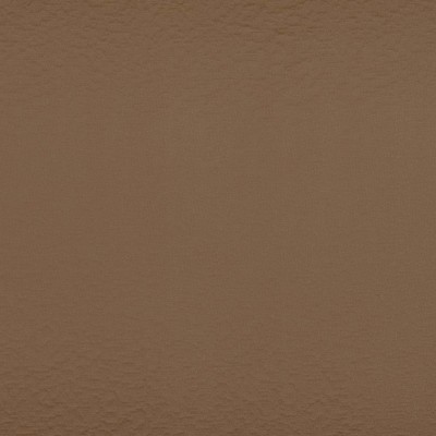 CASAMANCE_36032173.jpg