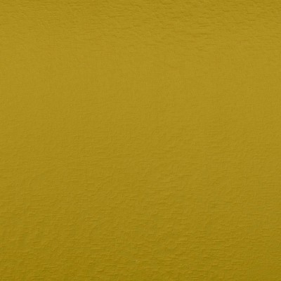 CASAMANCE_36032205.jpg