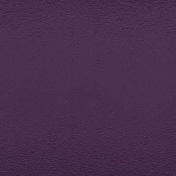 CASAMANCE_36031556 (2).jpg