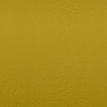 CASAMANCE_36032205 (2).jpg