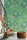 86397687-r_800x.webp