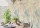 Mural-Casadeco-84860215-Beauty-Full-Image.jpeg