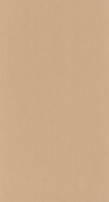 Tapeta BRUME CARAMEL Casadeco 202732432 1